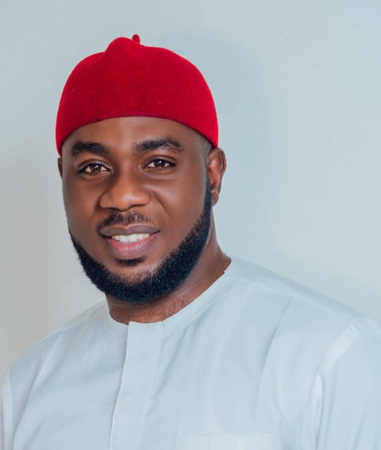 2023: Chukwunonso Ani offers to serve, promises to sponsor bill to compel govt to establish industries