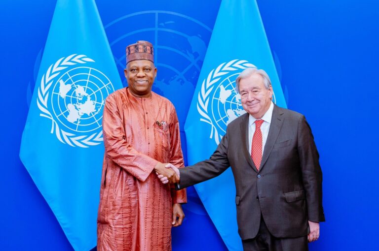 UNGA 80: Shettima Meets Guterres, Nigeria’s Security Council Bid Tops Agenda  