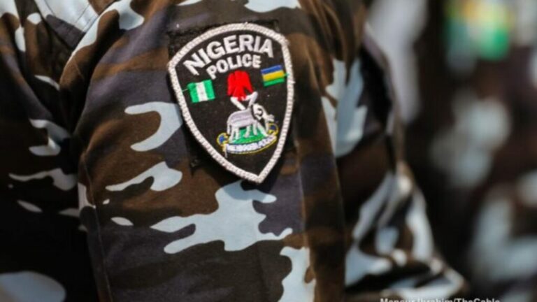 Ogun Police Raid Criminal Hideouts Under ‘Operation Kosaye,’ 43 Suspects Nabbed