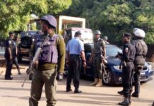 Police Recover Firearm And Ammunition In Enugu Raid, Arrest Suspected Cultist Police