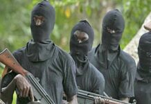 Gunmen Kill Six Cashew Farmers in Benue, Police Confirm