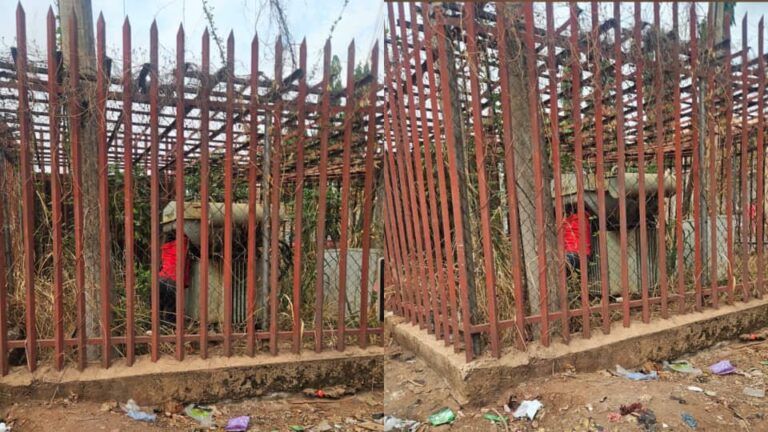 Suspected Vandal Electrocuted While Attacking Power Facility In Enugu