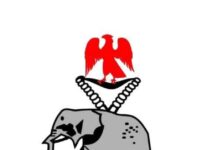 Major Security Crackdown: Katsina Police Nab 26 Suspects In Overnight Raid