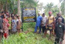 Inside Akpawfu Cement Deal: 99-Year Lease, 0.25% Equity Spark Dispute as Families Seek Governor Mbah’s InterventionÂ