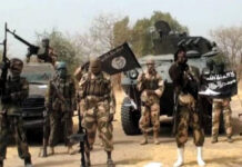 Boko Haram Attack Leaves 23 Chadian Soldiers Dead Near Lake Chad