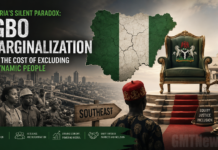 Nigeria’s Silent Paradox: Igbo Marginalization and the Cost of Excluding a Dynamic People