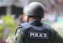 Kebbi Police Arrest Man For Alleged Brutal Murder Of Brother And Wife