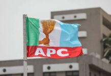 Borno APC Primaries: Gov Zulum’s Brother, Kaumi, Secures Dikwa/Konduga/Mafa Ticket Apc