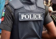 Police Arrest 10 Banditry Suspects, Recover Fabricated Rifles In Kaduna Ops Police
