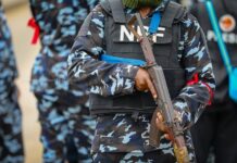 Police Bust Transnational Human Trafficking Syndicate, Rescue 30 Malian Victims Police