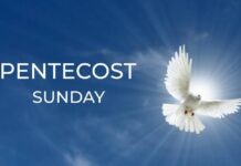 Bishop Onah Urges 967 Newly Confirmed Catholics To Drive Church Growth, Avoid ‘Cancerous Faith’ Bishop