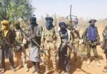 Bandits Kill 11 In Katsina Attack Despite Security Gains