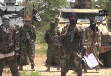 The Illusion of Peace: Why the Mass Reintegration of Boko Haram Fighters is a Dangerous Experiment Boko Haram