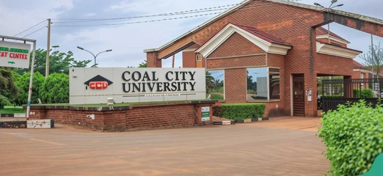 Coal city