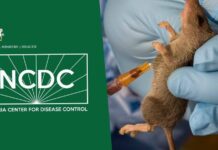Alarming Lassa Fever Surge: Death Toll Hits 214 As Fatality Rate Climbs To 25% Lassa fever