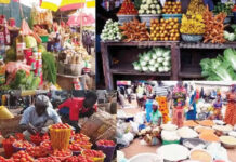 Local Farmers Lament Disturbing N2.34bn Food Import Bill, Demand Absolute Farmland Security Food