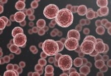 Lifeline Fund: FG Launches Cancer Support Initiative For South-East Patients Fund