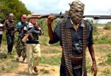 Heartless Violence Explodes As Armed Bandits Massacre 3 Villagers In Niger State Niger