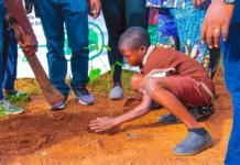 Enugu State Begins Planting 400 Trees Across Schools to Advance Green Initiative Enugu