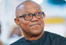 Ohanaeze Ndigbo Celebrates Peter Obi at 65, Praises His Enduring Leadership Ohanaeze