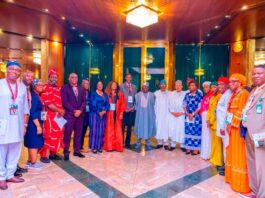 Healthcare Revitalisation: Tinubu Calls On Diaspora Medical Professionals To Return Tinubu