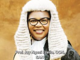 Prof. Ezeilo Urges United Front as Southeast Human Rights Bureau Launches to Tackle Rights Abuses Southeast Human rights