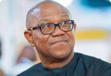 Peter Obi Education Reform Roadmap Prioritises TVET, Healthcare, Economic Growth