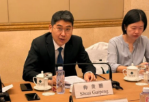 China Pledges Swift Action and Resource Mobilization to Fulfill Africa Partnership Agreements China