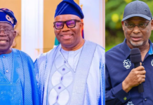 Serious Police Warning: State Police Could Threaten Democracy, Omehia Tells National Assembly State police