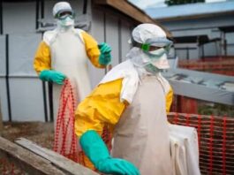 Ebola