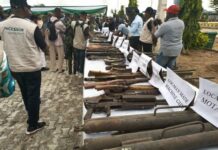 Federal Government Destroys 2,809 Illicit Arms, Warns Traffickers Of Tougher Crackdown Arms
