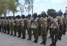 Army Expansion to 12 Divisions Wins Strong Support From Group Army