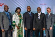 Tinubu Makes Bold Investment Push To Nigerians In Diaspora