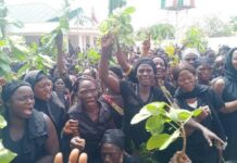 Nasarawa Police Issue Strong Warning Over Planned 10,000-Woman Protest In Lafia Police