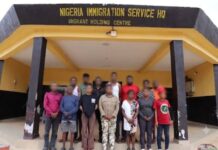 NIS Cracks Transnational Crime Syndicate, Arrests 12 In Major Anti-Trafficking Operation Syndicate