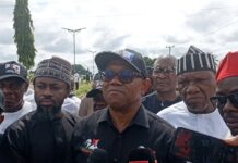 YPP Condemns Troubling Blockade Of Peter Obi’s Motorcade In Benue Obi
