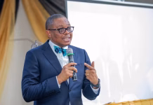 Nigeria Has One Of Highest Electoral Disputes Globally, Osigwe Warns Nigeria