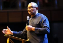 Peter Obi Makes Strong Call For Issue-Based Politics Ahead Of 2027 Obi