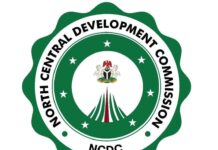 Niger: NCDC Condoles Over Tragic Death Of 37 Suspected Miners Ncdc