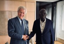 President Tinubu Secures Fresh Bolloré Investment Plans For Nigeria’s Creative, Digital Economy Tinubu