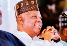 Akpabio Pays Tribute To Shettima At 60, Hails Courage And Service Shettima