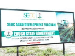 Ogbuekwe Commends SEDC Agro-Mechanisation Project, Hails Nkanu East Opportunity Ogbuekwe
