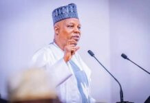 Shettima Hails Diaspora Remittances, Says Inflows Strengthen Nigeria’s External Position Shettima