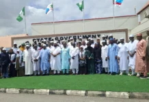 FG Unveils Bold Abattoir Plan Targeting 10,000 Jobs Per Facility Abattoir
