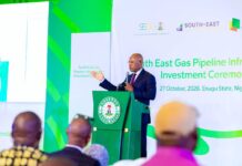 South-East Gas Pipeline: FG Launches $100m Project, SEDC Commits $3m South-East Gas Pipeline