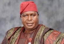 Runsewe Urges Nigerians In Diaspora To Respect Host Countries’ Laws  Runsewe