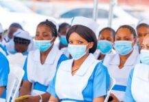 Borno Takes Major Step To Tackle Health Worker Shortages, Recruits Nearly 2,000 Personnel Borno