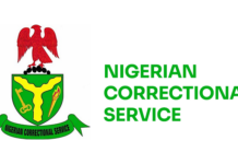 Overcrowding And Stigma Challenge Inmates’ Rehabilitation – Ncos Overcrowding
